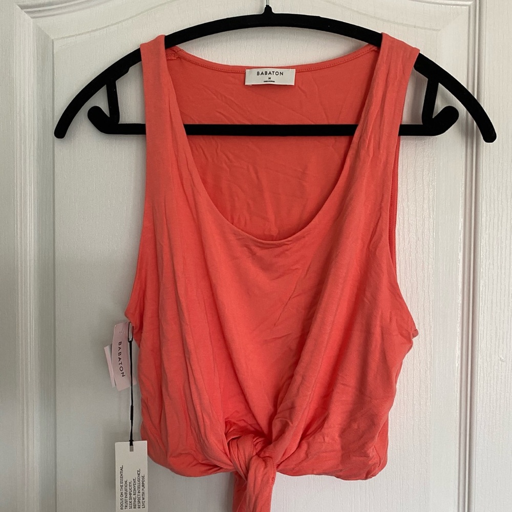 Babaton crop top